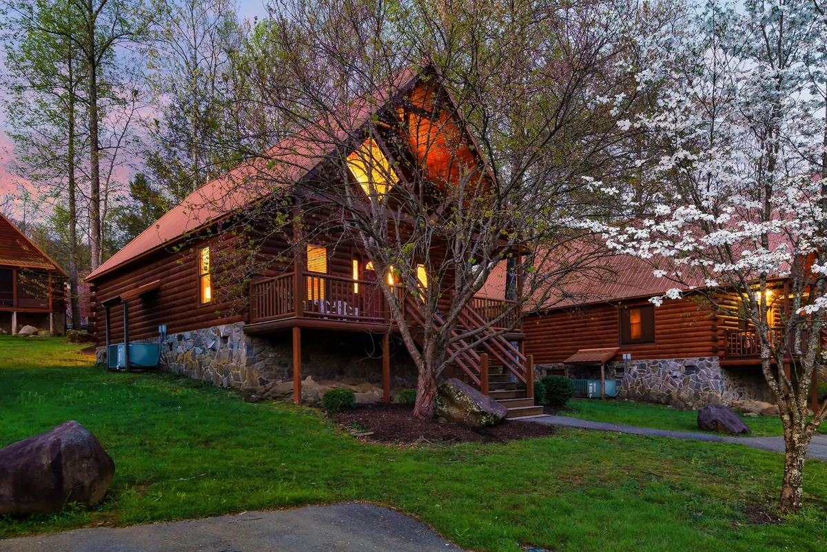 A cozy log cabin exterior surrounded by lush greenery and a flowering tree, with warmly illuminated windows suggesting an inviting space for evening family gatherings. The porch and outdoor area offer ample room for group activities and relaxation after a day of adventure.